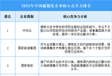 2025年中国碳捕集企业核心竞争力排名