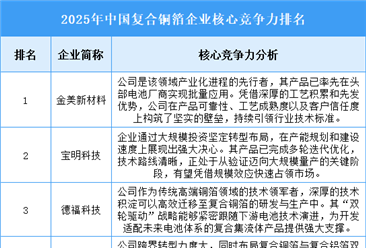 2025年中国复合铜箔企业核心竞争力排名