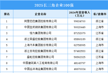 2025长三角企业100强（附图表）