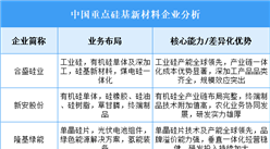 2025年中国硅基新材料重点企业业务布局分析（图）