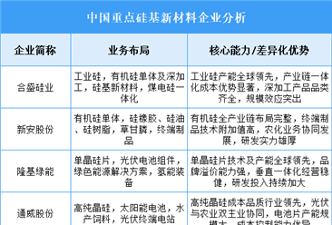 2025年中国硅基新材料重点企业业务布局分析（图）
