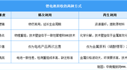 2026年中国锂电池回收行业市场前景预测研究报告（简版）