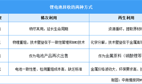 2026年中国锂电池回收行业市场前景预测研究报告（简版）