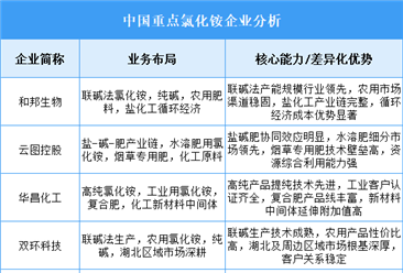 2025年中國氯化銨重點企業(yè)業(yè)務布局分析（圖）