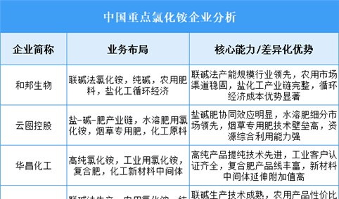 2025年中国氯化铵重点企业业务布局分析（图）