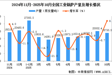 2025年10月全國(guó)工業(yè)鍋爐產(chǎn)量數(shù)據(jù)統(tǒng)計(jì)分析