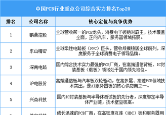 2025年中国PCB重点公司综合实力排名Top20（图）