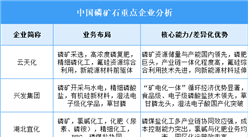 2025年中国磷矿石重点企业业务布局分析（图）