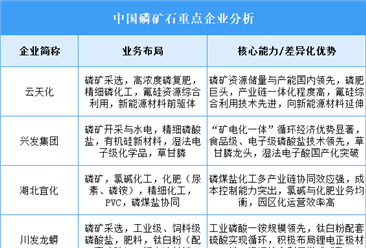 2025年中国磷矿石重点企业业务布局分析（图）