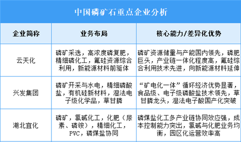 2025年中国磷矿石重点企业业务布局分析（图）