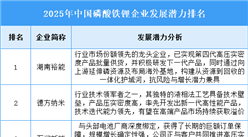 2025年中国磷酸铁锂企业发展潜力排名