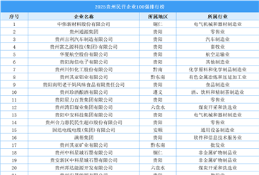 2025贵州民营企业100强排行榜（附完整榜单）