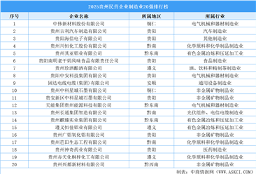 2025贵州民营企业制造业20强排行榜（附完整榜单）