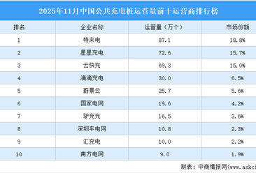 2025年11月中国公共充电桩运营量前十运营商排行榜	（附榜单）