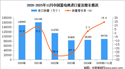 2025年1-11月中国蓄电池进口数据统计分析：进口量89730万个