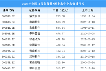 2025年中国IT服务行业A股上市公司市值排行榜（附榜单）