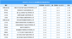 2026年1月5日全国各地最新白条猪价格行情走势分析
