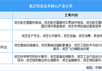 2026年中国低空经济行业市场前景预测研究报告（简版）