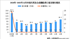 2025年12月中国天然及合成橡胶进口数据统计分析：进口量95.3万吨