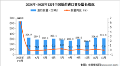2025年12月中国纸浆进口数据统计分析：进口量311.3万吨