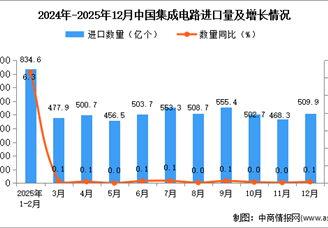 2025年12月中國集成電路進(jìn)口數(shù)據(jù)統(tǒng)計分析：進(jìn)口量468.3億個