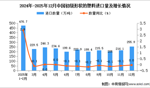 2025年12月中国初级形状的塑料进口数据统计分析：进口量255.9万吨