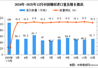2025年12月中国钢材进口数据统计分析：进口量51.7万吨