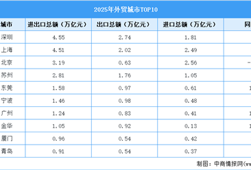 2025年外贸TOP10城市排行（图）