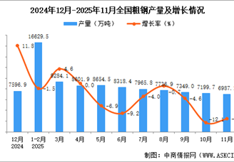 2025年11月全国粗钢产量数据统计分析