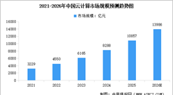 2026年中国云计算市场规模及行业发展前景预测分析（图）