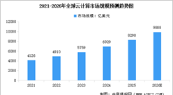 2026年中国云计算行业市场前景预测研究报告（简版）