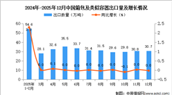 2025年12月中国箱包及类似容器出口数据统计分析：出口量30.7万吨