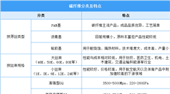 2026年中国碳纤维行业市场前景及投资研究报告（简版）