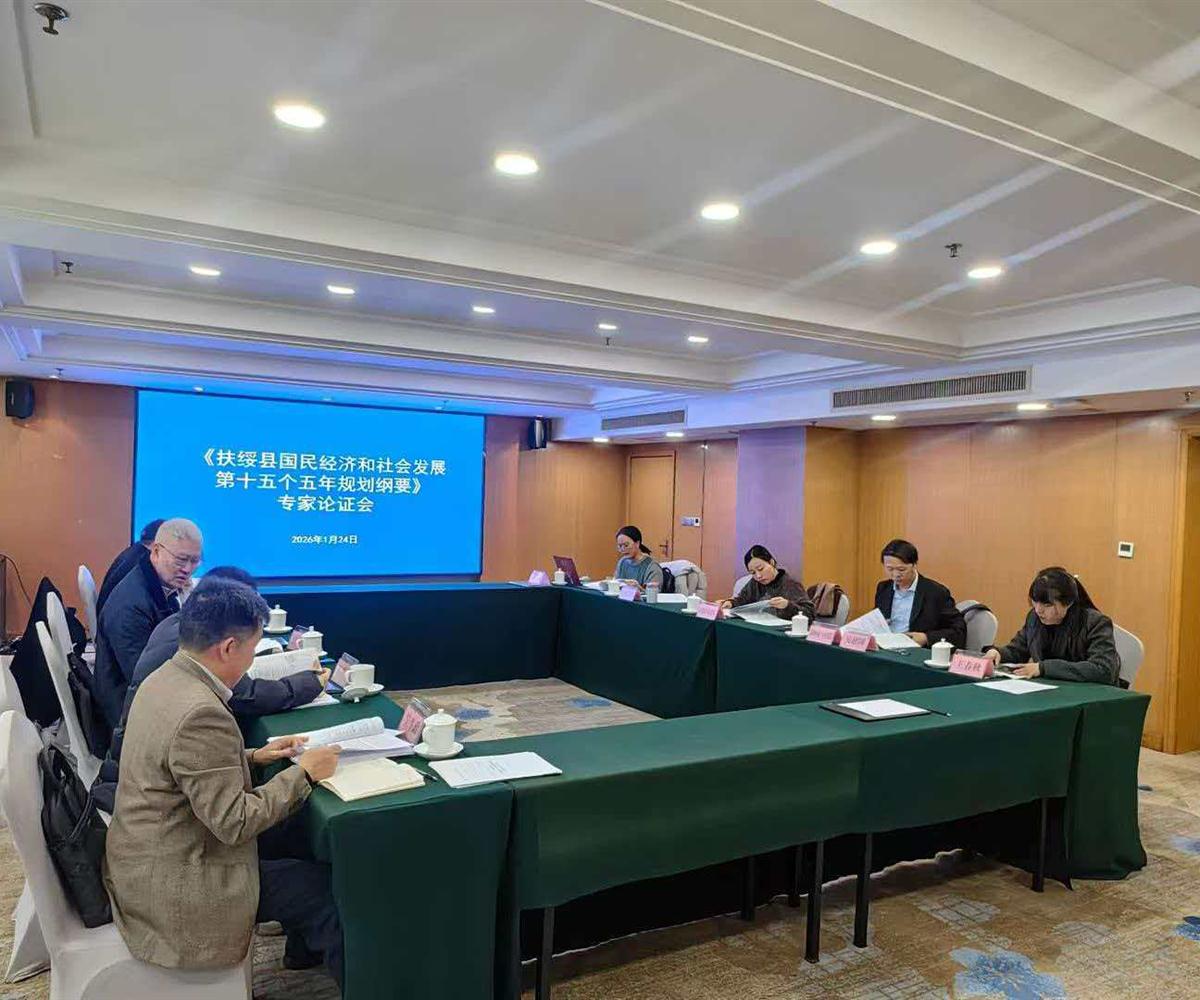 《崇左市扶绥县国民经济和社会发展第十五个五年规划纲要》（草案）通过专家论证