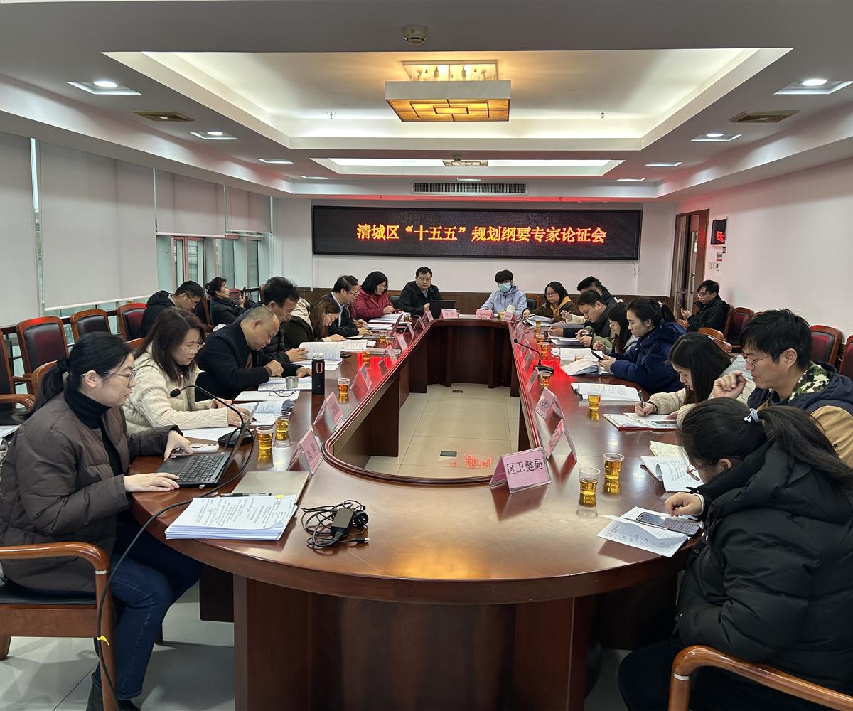 《清远市清城区国民经济和社会发展第十五个五年规划纲要》（草案）通过专家论证