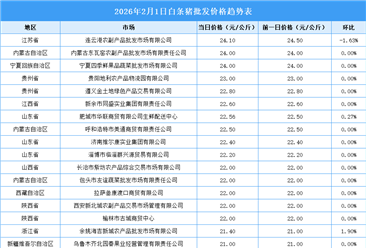 2026年2月2日全國(guó)各地最新白條豬價(jià)格行情走勢(shì)分析