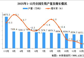 2025年12月全国生铁产量数据统计分析