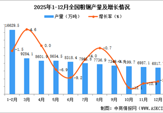 2025年12月全国粗钢产量数据统计分析