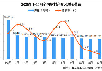 2025年12月全国钢材产量数据统计分析