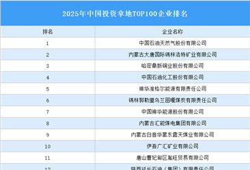 产业投资情报：2025年中国投资拿地TOP100企业排行榜（产业篇）