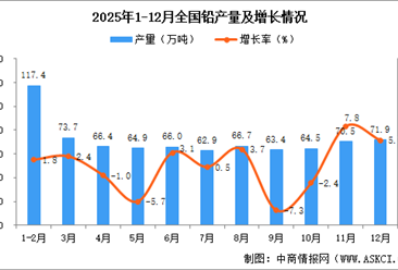 2025年12月全国铅产量数据统计分析