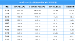 2025年全國各省市鐵礦石產(chǎn)量排行榜