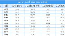 2025年全国各省市纱产量排行榜