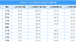 2025年全国各省市原盐产量排行榜