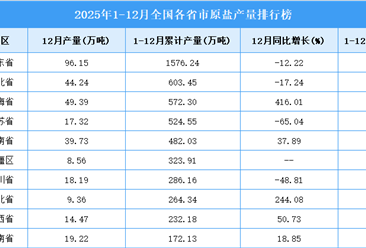 2025年全国各省市原盐产量排行榜