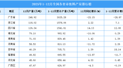 2024年全國各省市飲料產量排行榜