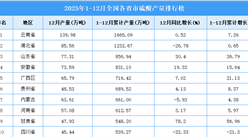2025年全国各省市硫酸产量排行榜