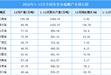 2025年全国各省市硫酸产量排行榜
