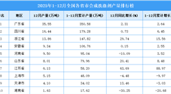 2025年全國各省市合成洗滌劑產(chǎn)量排行榜