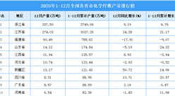 2025年全國(guó)各省市化學(xué)纖維產(chǎn)量排行榜
